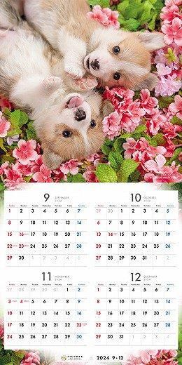 PICTWAN 륷塦 2025ǯ 