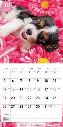 PICTWAN ХꥢS 2025ǯ 