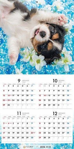 PICTWAN ХꥢS 2025ǯ 