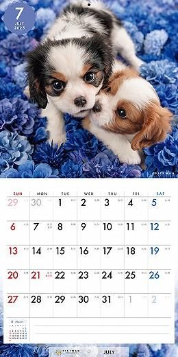 PICTWAN ХꥢS 2025ǯ 