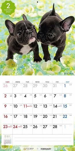 PICTWAN ե֥ɥåS 2025ǯ 