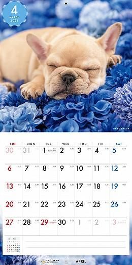PICTWAN ե֥ɥåS 2025ǯ 
