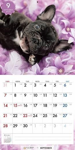 PICTWAN ե֥ɥåS 2025ǯ 