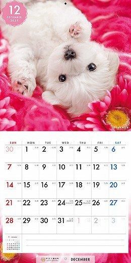 PICTWAN ޥS 2025ǯ 