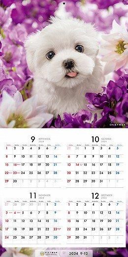 PICTWAN ޥS 2025ǯ 
