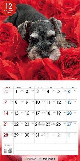 PICTWAN ʥS 2025ǯ 
