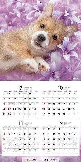 PICTWAN 륷塦S 2025ǯ 