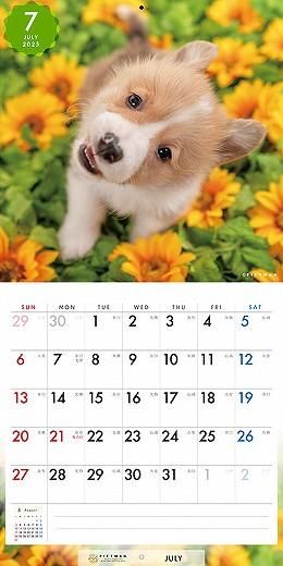 PICTWAN 륷塦S 2025ǯ 