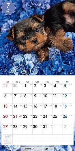 PICTWAN 衼㡼ƥꥢS 2025ǯ 