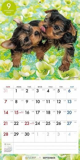 PICTWAN 衼㡼ƥꥢS 2025ǯ 