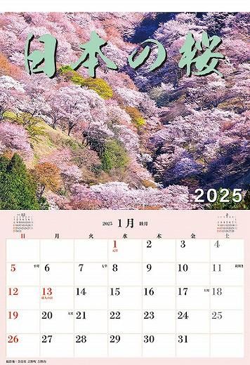 楽天市場】【超お得定期便】バニボ 定期 さくらの森 BURNIBO