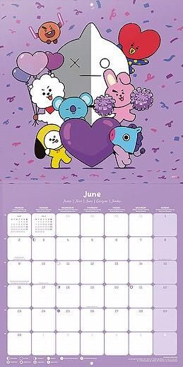 ͢ BT21 2025ǯ 