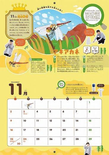昆虫ハンター 虫とりカレンダー 2025年版 通販 | カレンダー館