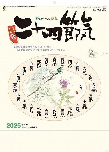 󽽻ᵤ 2025ǯ 