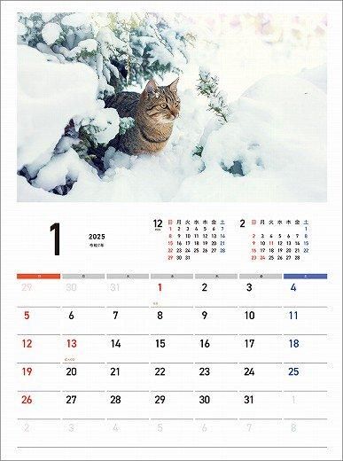 Ĥͤ 2025ǯ 