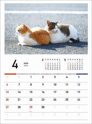 Ĥͤ 2025ǯ 