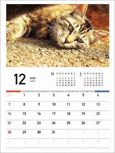 Ĥͤ 2025ǯ 