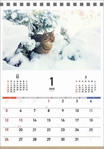  Ĥͤ 2025ǯ 