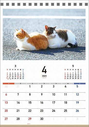  Ĥͤ 2025ǯ 