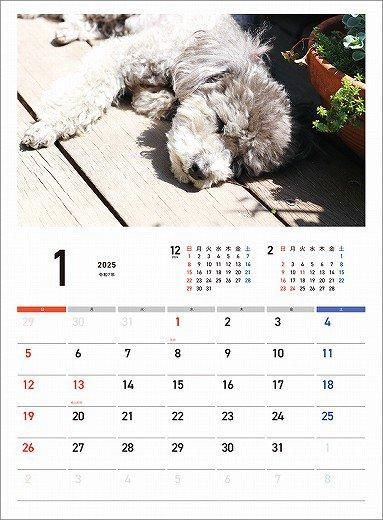 䤹ߤ 2025ǯ 