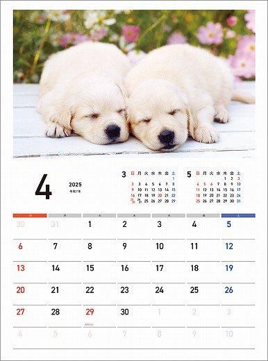 䤹ߤ 2025ǯ 