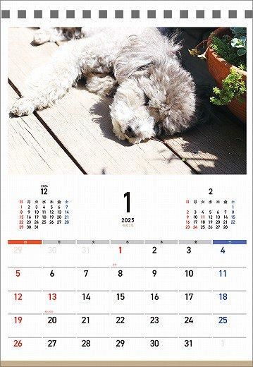  䤹ߤ 2025ǯ 