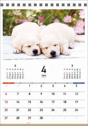  䤹ߤ 2025ǯ 