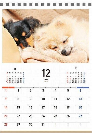 䤹ߤ 2025ǯ 