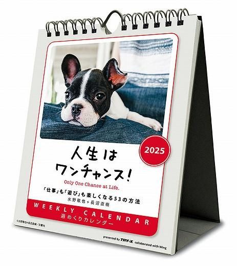 Amazon.co.jp: トライエックス 人生はワンチャンス！ 卓上/壁掛