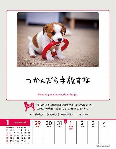 Amazon.co.jp: トライエックス 人生はワンチャンス！ 卓上/壁掛