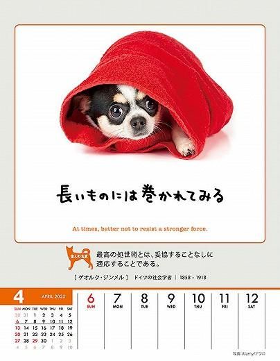 人生はワンチャンス！ 2025年 カレンダー 通販 | カレンダー館