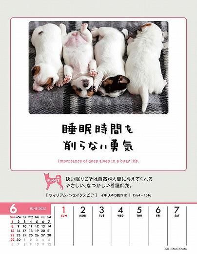 ϥ󥹡 2025ǯ 