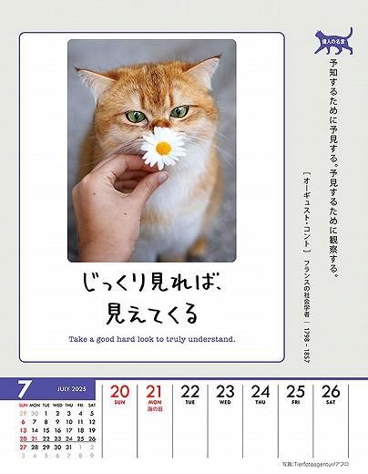 ϥ˥Ȥʤ롪 2025ǯ 