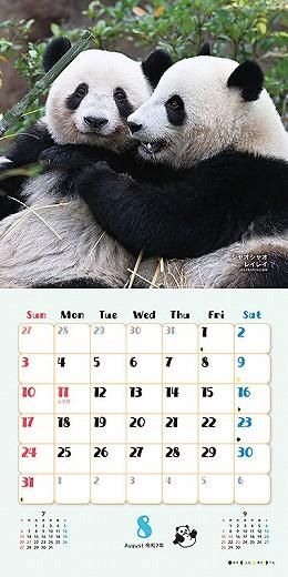 󥷥󡦥㥪㥪쥤쥤 2025ǯ 