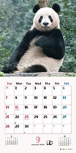 󥷥󡦥㥪㥪쥤쥤 2025ǯ 