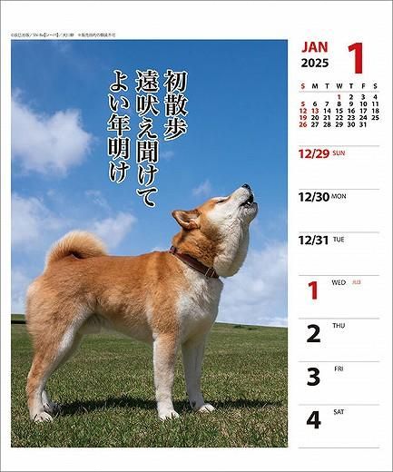  ᤯ 2025ǯ 