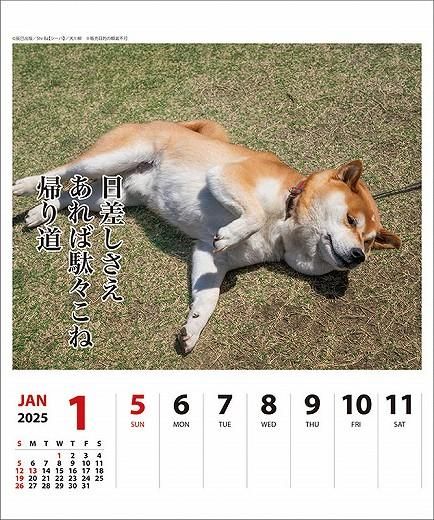  ᤯ 2025ǯ 