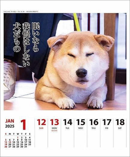  ᤯ 2025ǯ 