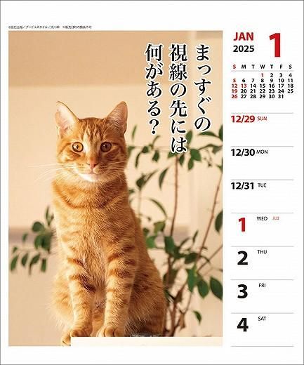 ǭ ᤯ 2025ǯ 