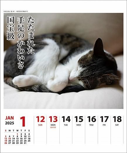 ǭ ᤯ 2025ǯ 