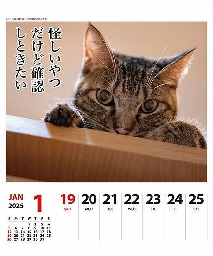 ǭ ᤯ 2025ǯ 