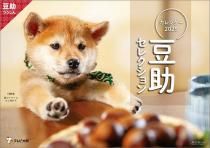 Ʀ쥯 2025ǯ 