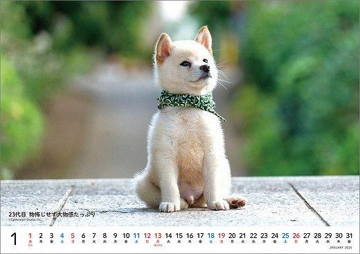  Ʀ쥯 2025ǯ 