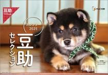  Ʀ쥯 2025ǯ 