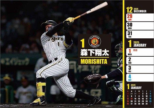   ᤯ 2025ǯ 