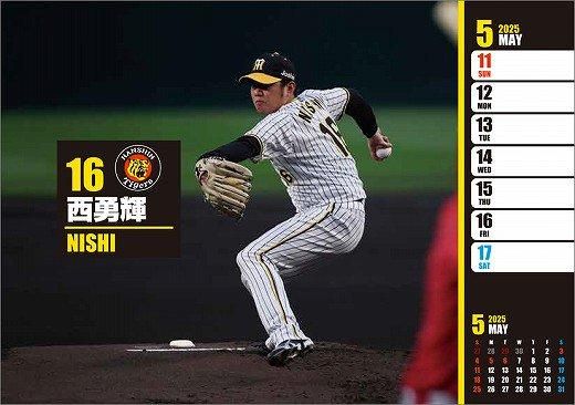 卓上 阪神タイガース 週めくり 2025年 カレンダー 通販 卓上 阪神タイガース 週めくり 2025年 カレンダー 通販