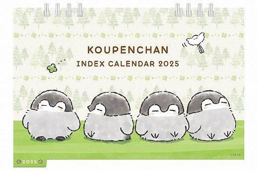  ڥ 2025ǯ 