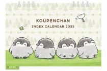  ڥ 2025ǯ 