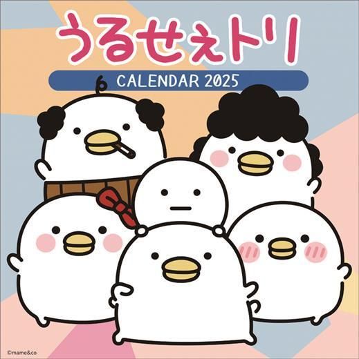 뤻ȥ 2025ǯ 