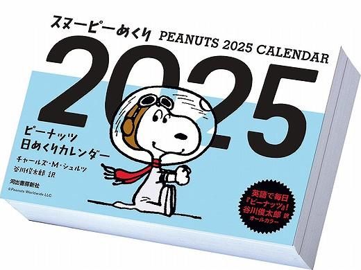 佐藤健 日めくりカレンダー 2019年、2020年未開封 使い切れ